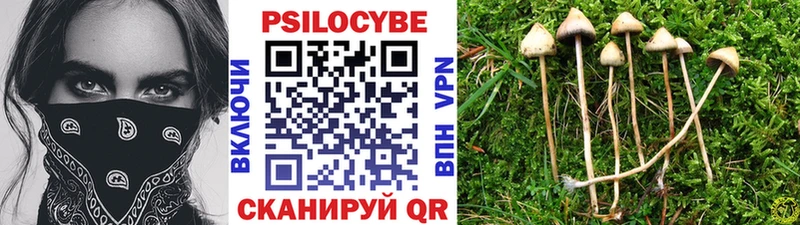 Галлюциногенные грибы Magic Shrooms  ОМГ ОМГ ONION  Зеленокумск 