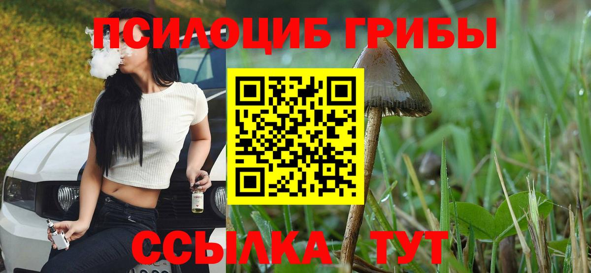 Галлюциногенные грибы мухоморы Зеленокумск