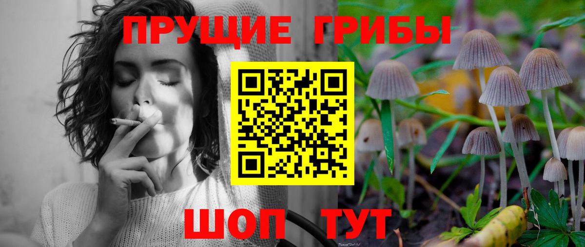 Галлюциногенные грибы Psilocybine cubensis  Вход с VPN  Зеленокумск  Псилоцибиновые грибы мицелий 