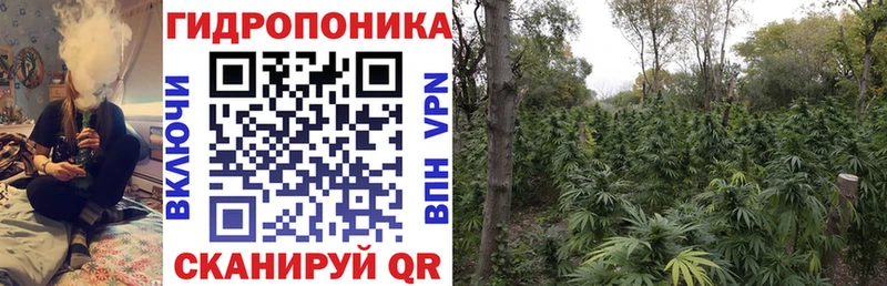 Канабис план  Зеленокумск 